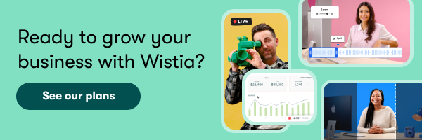 See Wistia plans and pricing